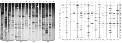 Age-Related Variations in Intestinal Microflora of Free-Range and Caged Hens